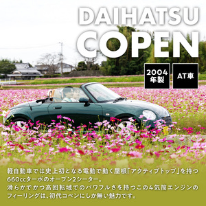 P01083 【オープンカーでドライブ】 レンタカー24時間利用券 《ダイハツ コペン》で大分を走ろう！