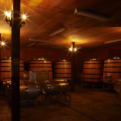 ふるさと納税 足利市 ココワイン6本セット |  | 03