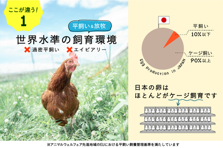 【全3回定期便】こだわりの無投薬･平飼い有精卵 25個《厚真町》【テンアール株式会社】 たまご 卵 鶏卵 玉子 生卵 平飼い 北海道 定期便[AXAN126]