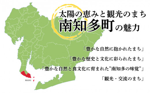 海苔 320枚 (8本×40枚) 国産 味付け 愛知県 南知多町 海藻 海苔 のり 八切り ボトル 大井漁協