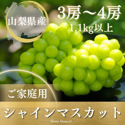 【ふるさと納税】【2026年発送】ご家庭用シャインマスカット 3房～4房1.1kg以上 山梨県 山梨市産【配送不可地域：離島】【1535964】