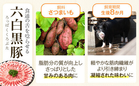 【J02003】＜定期便・全10回(毎月)＞かごしま黒豚ふるさと定期便 バラエティーセットC(月1回×10カ月) 黒豚 鰻 ウナギ うなぎ 肩ロース トンカツ用ロース モモスライス 餃子 焼豚 干し芋