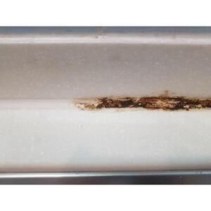 擦らず楽々強力カビ取り剤「ＭｏｌｄＺＥＲＯ(R)」　3本セット  掃除  カビ取り 除菌 抗菌 モールドゼロ モルドゼロ Mold ZERO【雑貨 日用品 人気 おすすめ 】