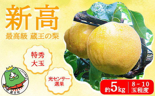 
                  【先行予約】最高級 蔵王の梨  新高  約5kg 特秀･大玉　【04301-0718】梨 なし 果物 くだもの スイーツ フルーツ デザート 甘い ジューシー 蔵王
                