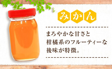 重森養蜂場のはちみつ 大容量2種2本セット（ソヨゴ・みかん各600g×1本）蜂蜜 ハチミツ お取り寄せ グルメ 三次市/重森養蜂場[APBO002]