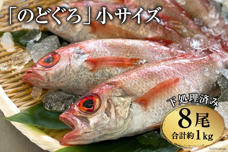 
CF092「のどぐろ」小サイズ（120～140g） 8尾　＜煮付け・塩焼き用＞
