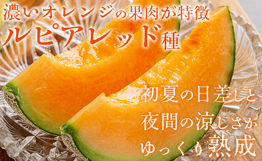 ＜2025年発送先行受付＞ほべつメロン2玉(約1.6kg×2玉)＜むかわ町穂別特産品＞ MKWR002