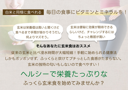 【12ヶ月定期便】【炊飯器で普通に炊ける玄米】 ふっくら玄米食 6kg（2kg×3）×12回 新潟県阿賀野市産 米杜氏 壱成 特別栽培コシヒカリ 1H35120