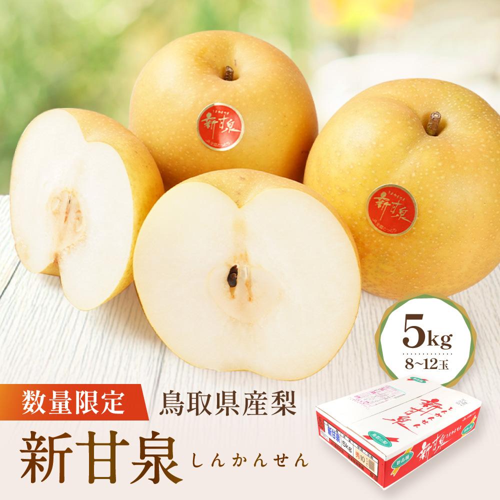【ふるさと納税】【先行予約】数量限定 鳥取県産梨 新甘泉（しんかんせん）5kg（8～12玉） | フルーツ 果物 くだもの 食品 人気 おすすめ 送料無料