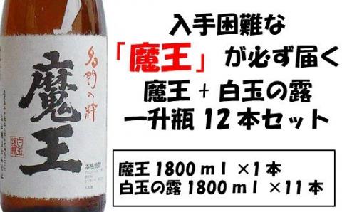 №10001 【幻の魔王と伝統の白玉の露】白玉醸造の銘酒12本セット