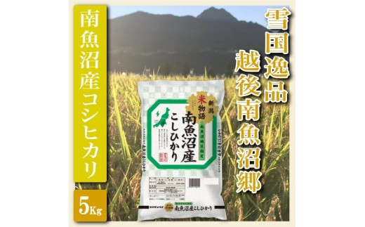 
                  【令和7年産】【精米５Kg】雪国逸品 越後南魚沼郷 南魚沼産コシヒカリ【銘柄米 ブランド米 精米 こしひかり コシヒカリ 魚沼産 新潟米 産地直送 お米 米 こめ コメ ご飯 御飯 ごはん】
                