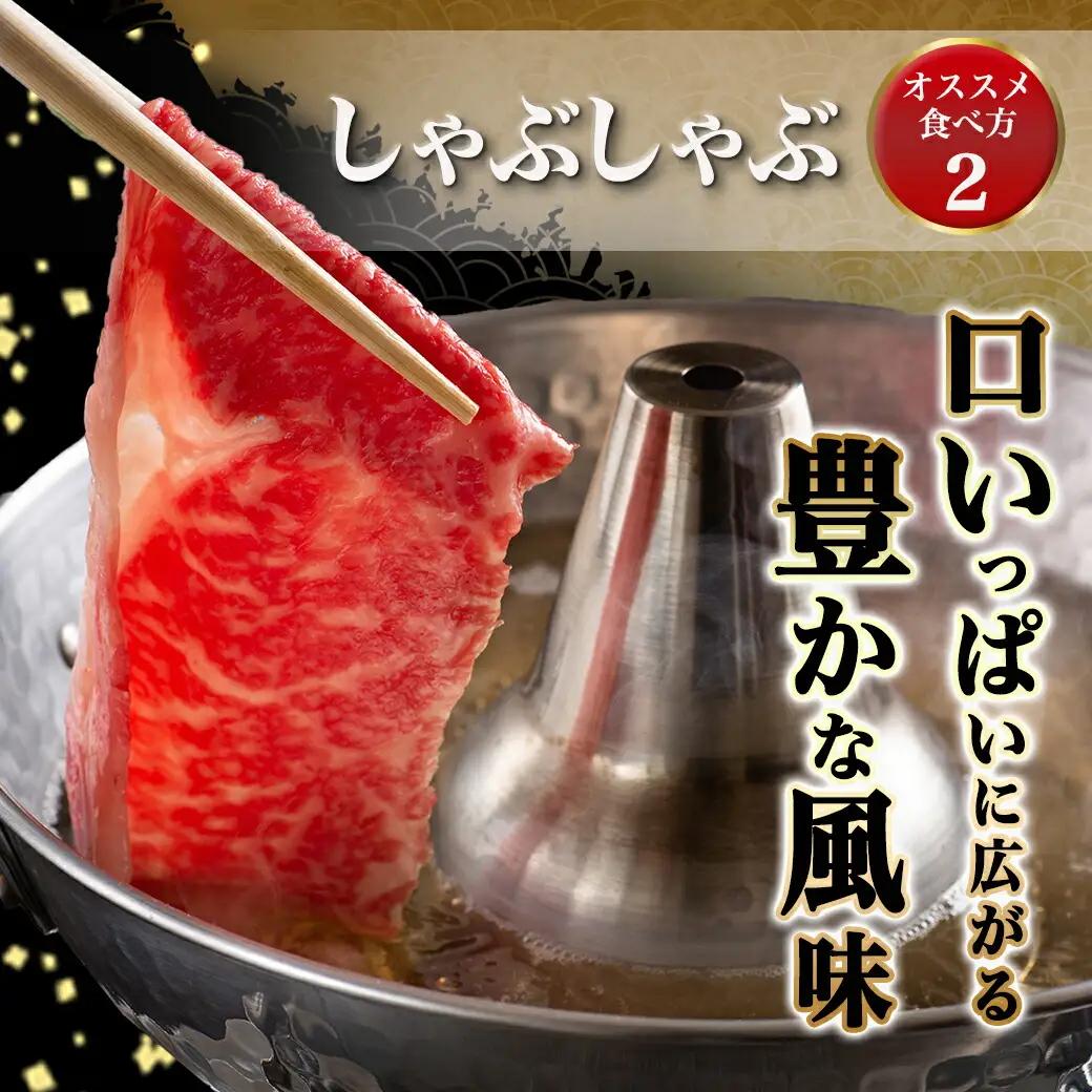 宮崎牛ローススライス(500g)≪みやこんじょ快速便≫〔MJ-N401-R〕_(都城市) 宮崎県産宮崎牛 500g×1P 牛肉 ロース スライス すき焼き しゃぶしゃぶ