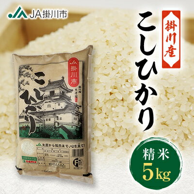 【ふるさと納税】掛川産こしひかり 精米 5kg【配送不可地域：離島・沖縄県】【1692663】