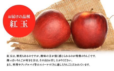 りんご 家庭用　甚八りんご紅玉３kg [hi-0058-001]