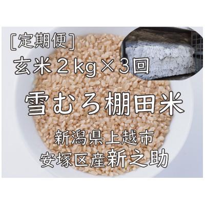 ふるさと納税 上越市 【毎月定期便】雪むろ棚田米-新之助2kg(2kg×1袋)玄米-新潟県上越市安塚区産-全3回