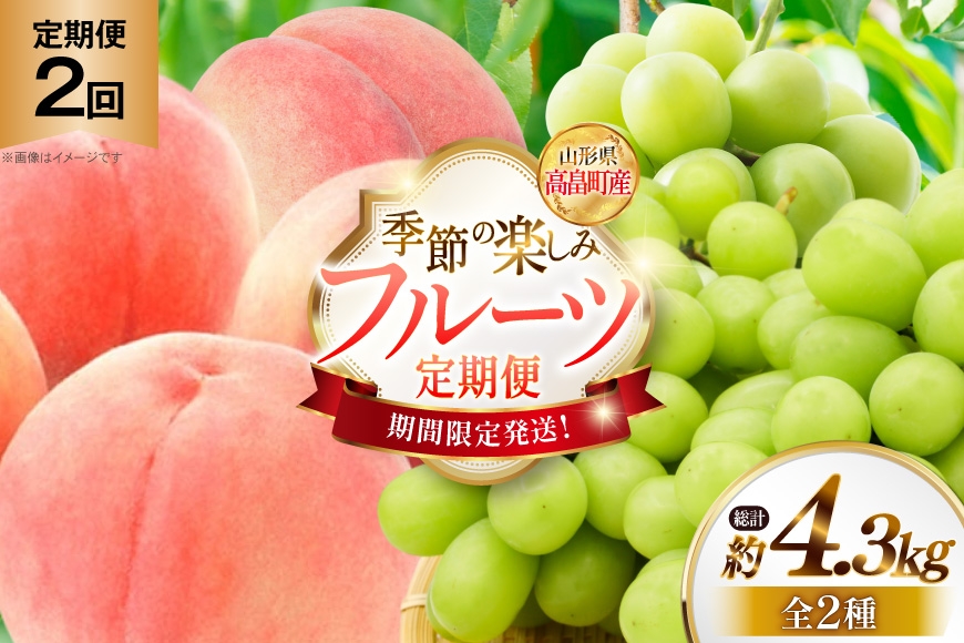 
                  【期間限定発送】 フルーツ 2回 定期便 桃 シャインマスカット [JA山形おきたま 山形県 高畠町 tk06ays870061] 果物 くだもの もも ぶどう 葡萄 デザート 産地直送 数量限定 定期 シャイン ピーチ
                