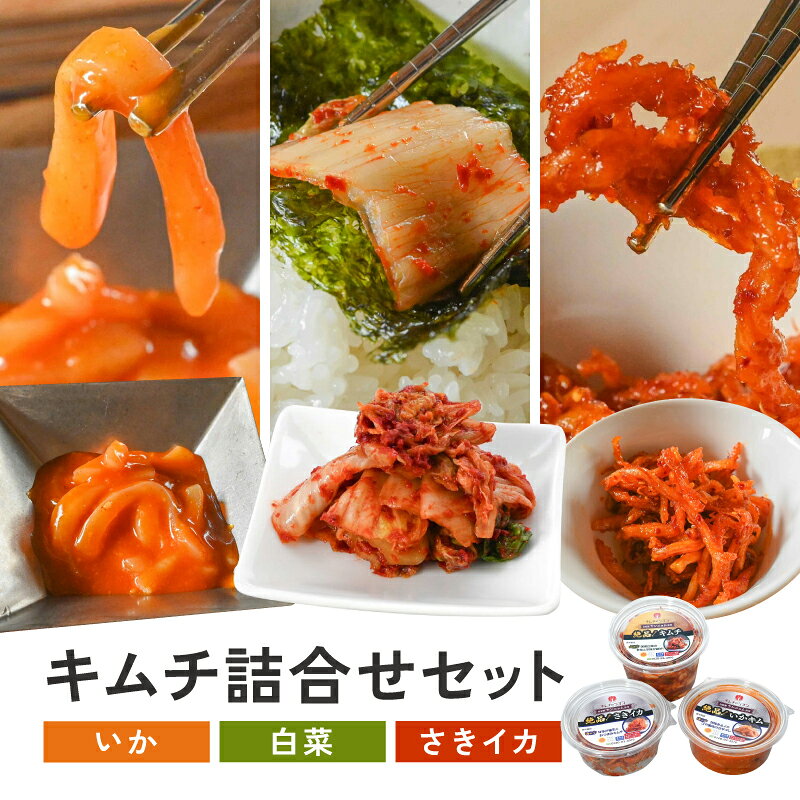 【ふるさと納税】【キムチのシオン】絶品！ キムチ スタンダード 詰め合わせ セット 白菜キムチ いかキム さきイカ 本格キムチ 韓国料理 おつまみ ご飯のお供 発酵食品 冷蔵 国産 惣菜 おかず人気 おすすめ おすそ分け お取り寄せ 宮崎県 綾町 送料無料