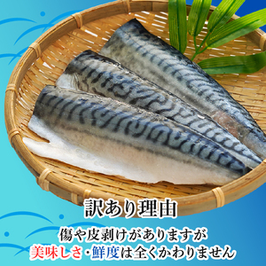 訳あり 塩サバ 腹骨取り 約3.5kg 【12月以降配送】 サバ