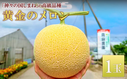先行予約・数量限定！島根県が独自に開発＊島根メロン『ゴールデンパール』
