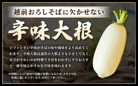 【年越し限定 】 越前おろしそば 生そば6人前（つゆ・ネギ・辛味大根付き） 「めん房新月亭」 冷蔵【蕎麦】 [e21-a008_12] 