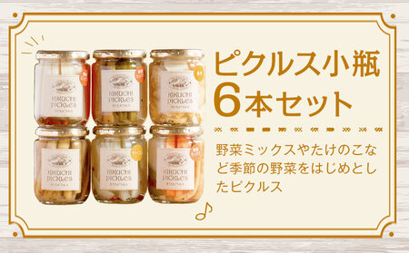 ピクルス 小瓶 6本セット 【メロンドーム】  ピクルス 野菜 酢漬け 漬物 おつまみ 旬の野菜 《30日以内に出荷予定(土日祝除く)》