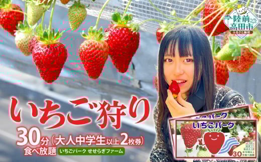 （大人中学生以上 2枚券）いちごパーク せせらぎファーム　いちご狩り30分食べ放題ペアチケット