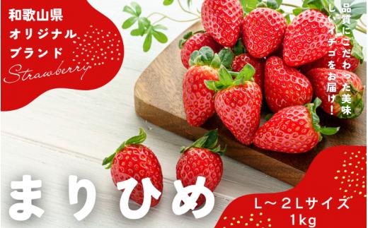 【先行予約】まりひめ いちご 12粒～15粒入り×4パック（1kg）2025年1月初旬～2025年3月末頃に順次発送予定（お届け日指定不可）/ いちご 苺 まりひめ 和歌山 フルーツ 【kgr008】