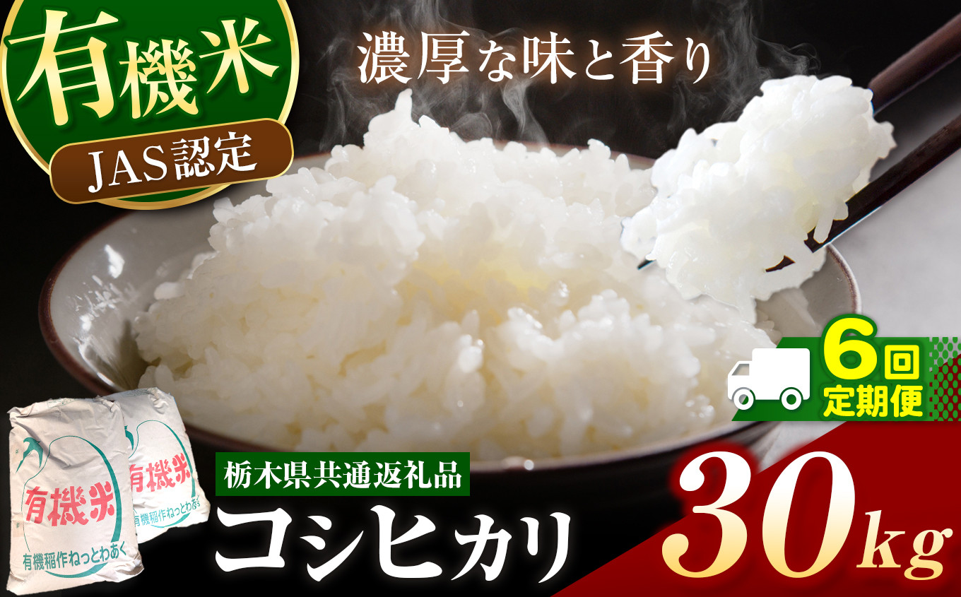 
            栃木県産 JAS認定 有機栽培 コシヒカリ 白米 30kg 6か月定期便 | お米 こめ ご飯 ごはん おにぎり おむすび 米 有機栽培 オーガニック 有機JAS 送料無料 定期便 定期 こしひかり 栃木県 銘柄米 ブランド米 栃木県共通返礼品
          