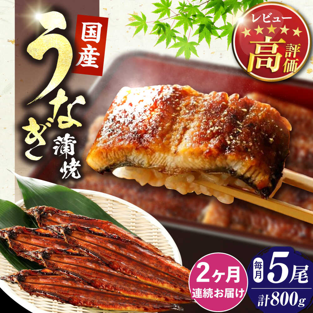 【ふるさと納税】【全2回定期便】福岡県産 うなぎ 蒲焼 大5尾 合計 800g（1尾あたり 160g以上）《豊前市》【福岡養鰻】[VAD035] 蒲焼 ウナギ お祝い プレゼント 贈答 ギフト 国産うなぎ 国産鰻 人気 おすすめ 福岡産
