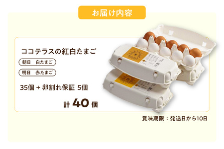 ココテラスの紅白たまご　35個 + 5個保証（計40個）【JGAP認証】 農家直送 新鮮 卵 タマゴ 赤卵 白卵 玉子 鶏卵 朝食 夕食 夜食 朝ごはん たまご焼き だし巻き卵 オムレツ 卵ご飯 料理