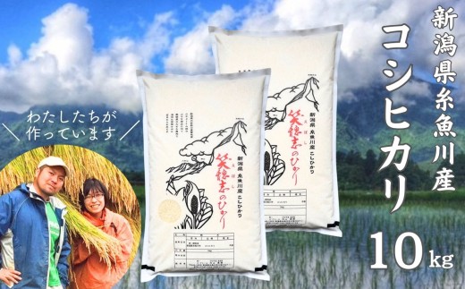 令和8年産新米 スピード発送【数量限定】新潟県産コシヒカリ『笑穂志(えぼし)のひかり』10kg（5kg×2袋） U'ファーム【米 お米 白米 こめ コメ こしひかり ご飯 ライス ふるさと納税米 新潟県 糸魚川産 2026年産 10キロ 食品 人気 おすすめ】