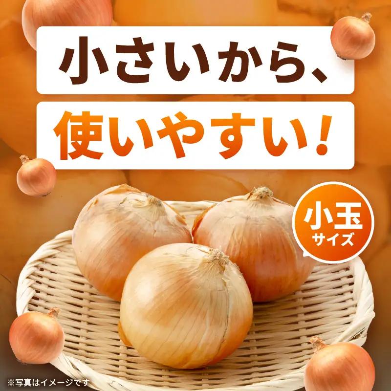小玉 玉ねぎ 5kg たまねぎ 玉葱 産地直送 [A-16521]