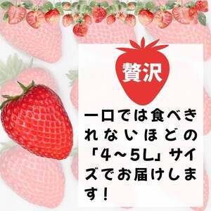 【先行予約】古都華 大粒 1パック×2セット【2027年1月～順次発送】