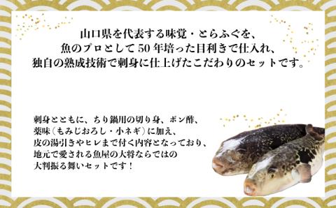 ★北海道・沖縄県・離島配送不可★【魚千代のふぐさし】国産とらふぐ刺身セット＜3～4人前＞（冷凍お届け）