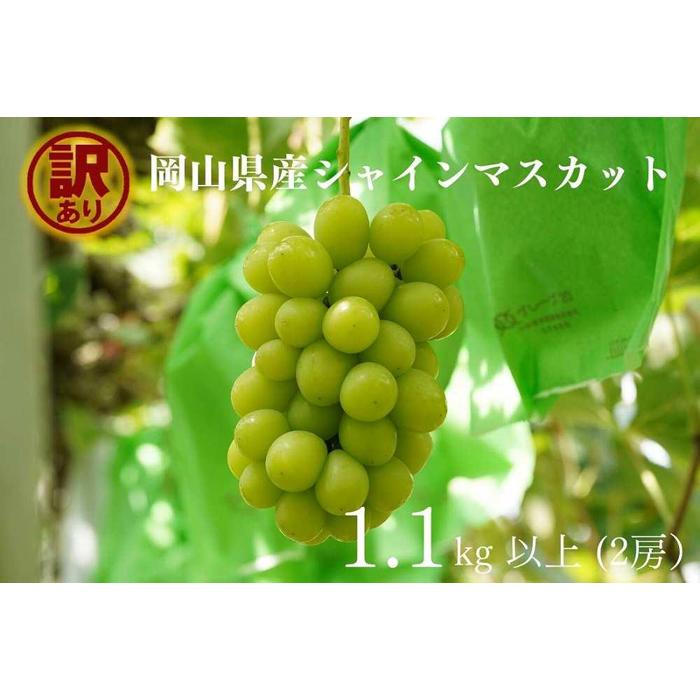 【ふるさと納税】＼2025年9月上旬～10月下旬発送／訳あり シャインマスカット 2房 合計1.1kg以上 岡山県産 | 葡萄 ぶどう シャインマスカット マスカット ご家庭用 不揃い 規格外 産地直送 朝採れ 岡山