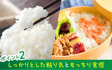 特別栽培米 かぶとのおこめ 精米 10kg　お米 白米 亀山市/かぶとの森テラス[AMAD010]