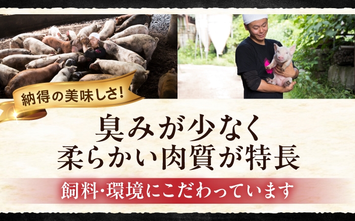 肉 豚肉 ロース バラ しゃぶしゃぶ セット 食べ比べ 贈答 ギフト プレゼント