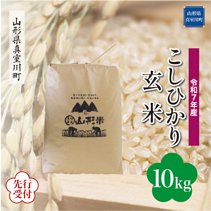 【ふるさと納税】 ※先行受付※ 令和7年産 真室川町厳選 コシヒカリ ［玄米］ 10kg（10kg×1袋）