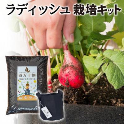 ふるさと納税 四万十町 ベランダでも育てられるラディッシュ栽培キット