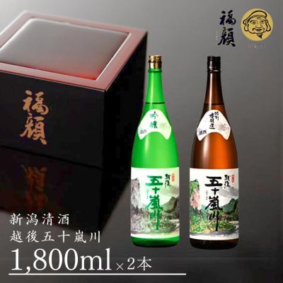 ふるさと納税 三条市 越後五十嵐川(1,800ml)2本セット 吟醸酒 特別本醸造 [福顔酒造]【020P022】