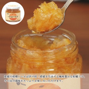 愛媛県産フルーツジャム（せとか・伊予柑）2種食べ比べセット（270g×6瓶） みきゃんの列車箱入り ギフトにも最適 愛媛果汁食品