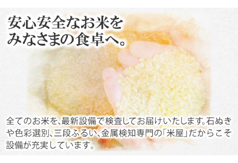 【定期便3ヶ月】令和5年産 石見地方 美郷町産 コシヒカリ 玄米 10kg【令和5年度産 定期便 3回定期 米 玄米 ブランド米 こしひかり 10kg×3回 合計30kg 2023年産】