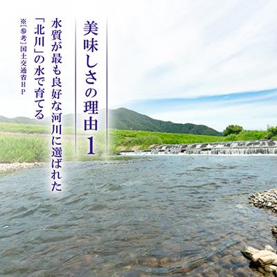 ふるさと納税 若狭町 【令和8年産先行受付】福井県若狭町あきさかり(1等米)　5kg |  | 01