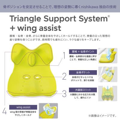 ふるさと納税 近江八幡市 【nishikawa/西川】Keeps クッション for beauty ネイビー |  | 01