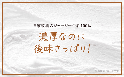 ジャージー牧場らいらっくチーズケーキ【ふわふわカマン】チーズ ケーキ カマンベールチーズ スフレチーズケーキ 兵庫県 朝来市 AS2AB1