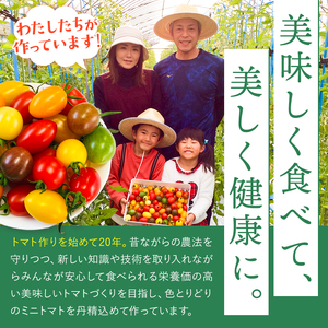 ミニトマト アイコ 約 3kg トマト 熊本 サザキ農園 野菜 ミニトマト 生産量 日本一 玉名市 !!