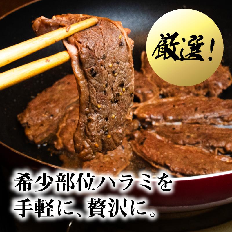 牛ハラミ 1kg×3袋 | 牛肉 ビーフ 厚切り 熟成 冷凍 大容量 焼肉 厚さ約8mm 牛 肉 お肉 精肉 スライス BBQ バーベキュー おかず おつまみ 北海道 滝川市