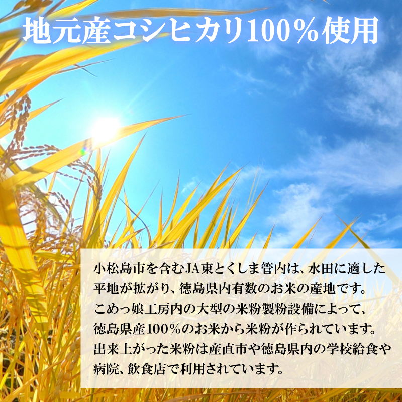 米粉 3kg 小分け 3袋 国産 米 コメ コシヒカリ こめ 国産米 料理 ラーメン パン パスタ スイーツ 菓子 洋菓子 和菓子 ホットケーキ お菓子 ケーキ クッキー 揚げ物 グルテンフリー 業務