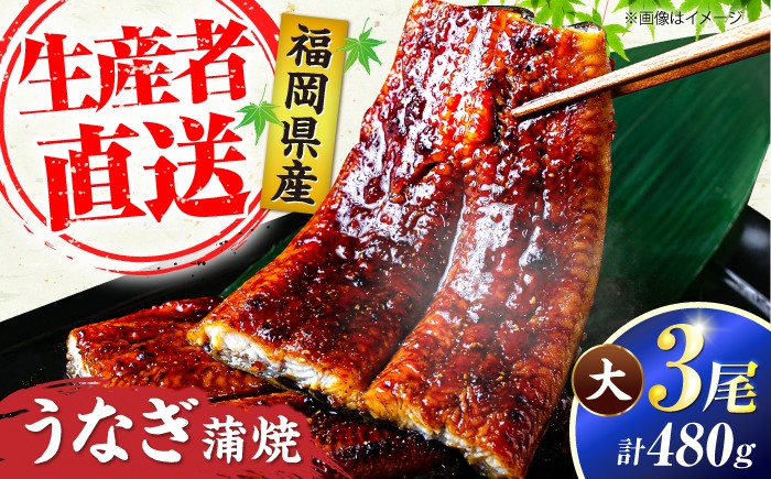 国産 うなぎ 蒲焼 大3尾 合計 480g（1尾あたり 160g以上）《豊前市》【福岡養鰻】 国産 うなぎ 鰻 ウナギ 蒲焼 うなぎ 蒲焼き うなぎ 冷凍 鰻 うなぎ ウナギ 鰻 人気 ウナギ うなぎ おすすめ ランキング うなぎ おいしい unagi うなぎ かばやき うなぎ 高級  贅沢 うなぎ ウナギ 鰻 ひつまぶし うなぎ ウナギ 鰻 九州 [VAD003]