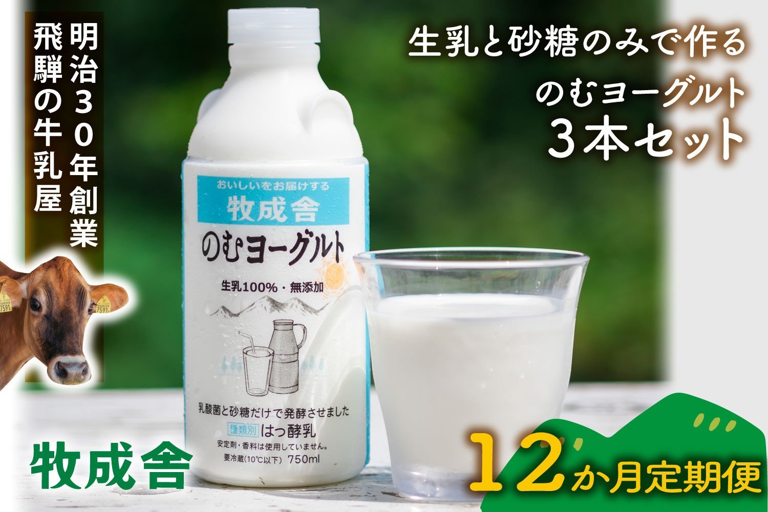 
            【定期12か月便】牧成舎のむヨーグルト750ml×3本セット｜ヨーグルト 乳飲料 朝食 毎日飲料 定期便 牧成舎 DF211
          